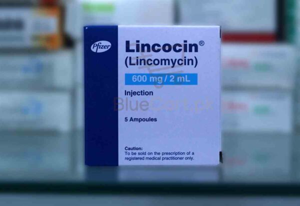 Lincocin Injection 600mg