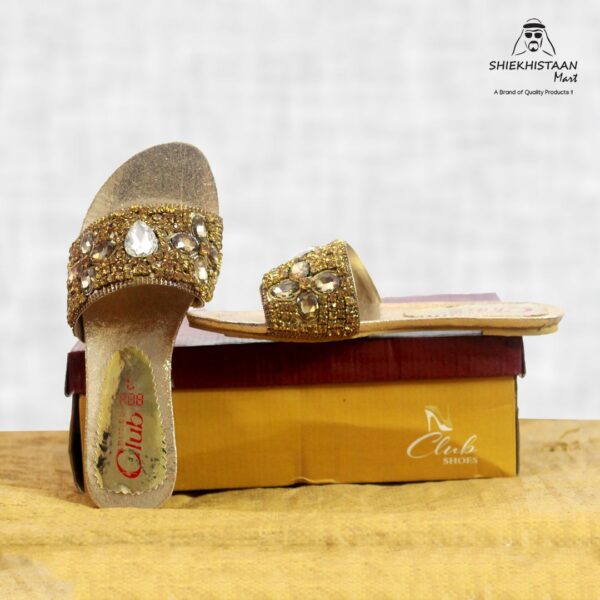 Ladies Fancy Flat Shoes With Stones