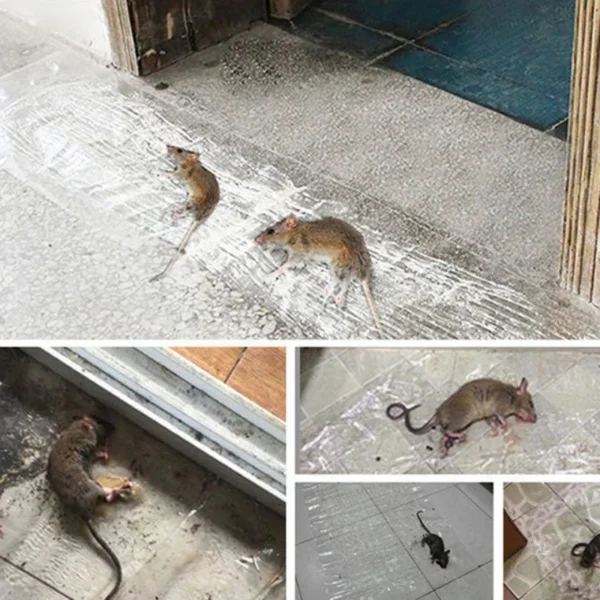 Invisible And Transparent Rat Killing Magic Carpet Rodents Moles Trap Rat Mice Trap Clear Invisible Mouse Glue Trap