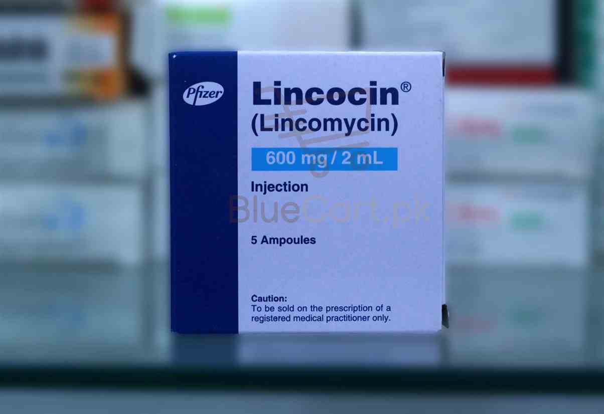 Lincocin-Inj.jpg Lincocin Injection 600mg
