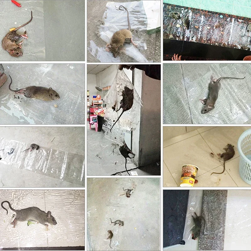 Invisible And Transparent Rat Killing Magic Carpet Rodents Moles Trap Rat Mice Trap Clear Invisible Mouse Glue Trap