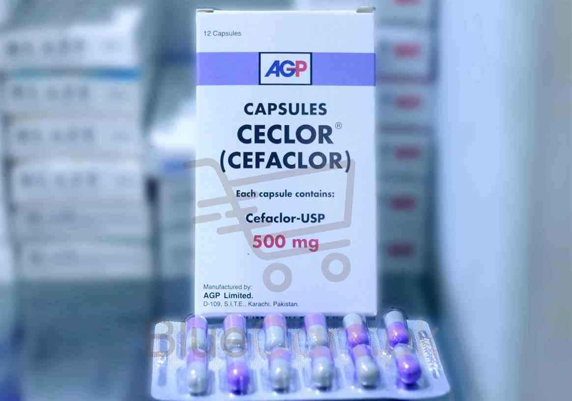 Ceclor Capsule 500mg