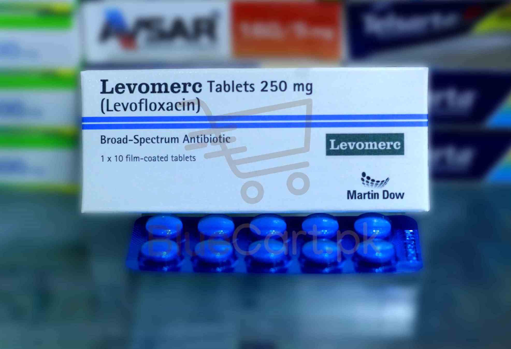 Levomerc Tablet 250mg
