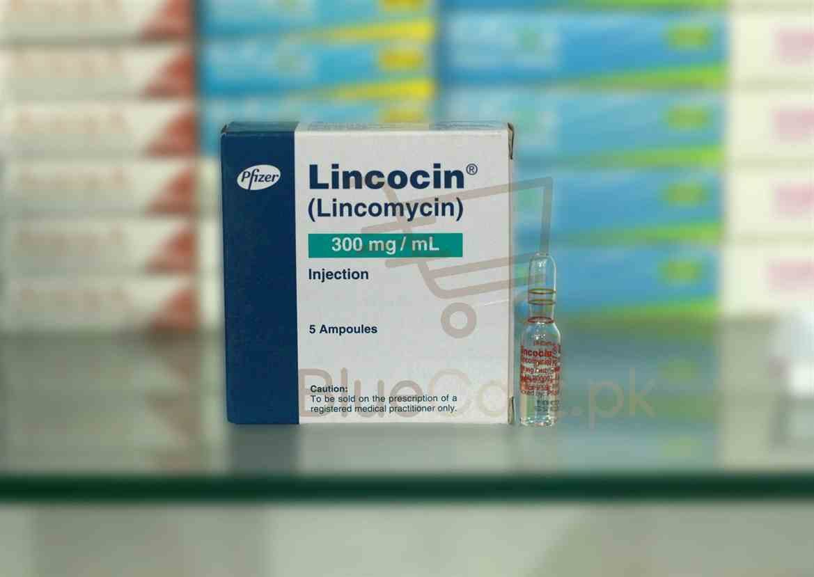 Lincocin Injection 300mg